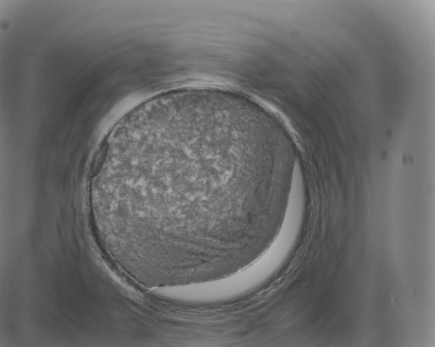 X0000083641375200703121709