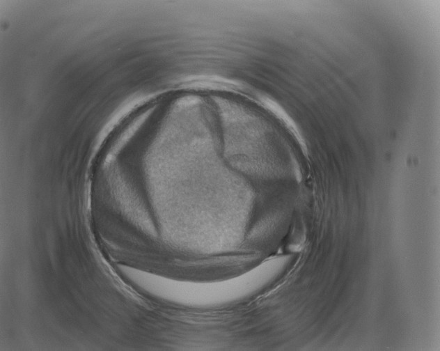 X0000083641376200703121708