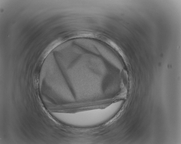 X0000083641377200703121708