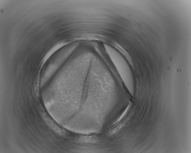 X0000083641378200703121708