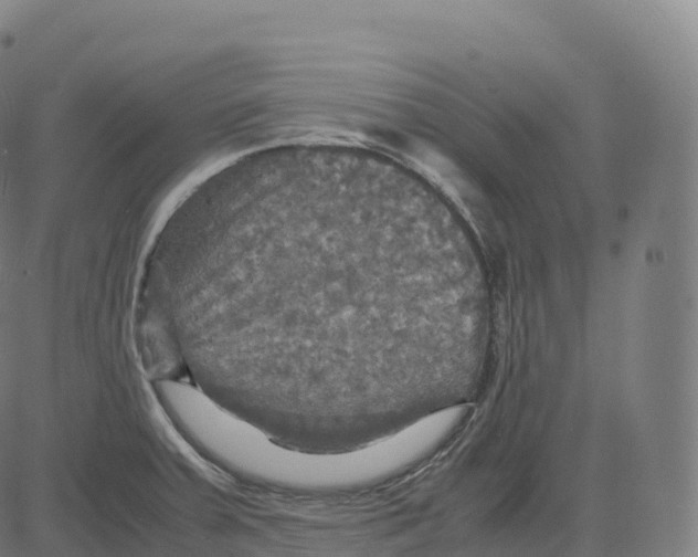 X0000083641379200703121708