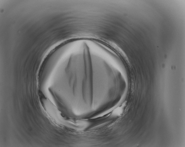 X0000083641380200703121708