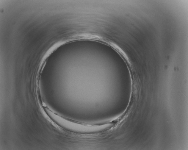 X0000083641381200703121708