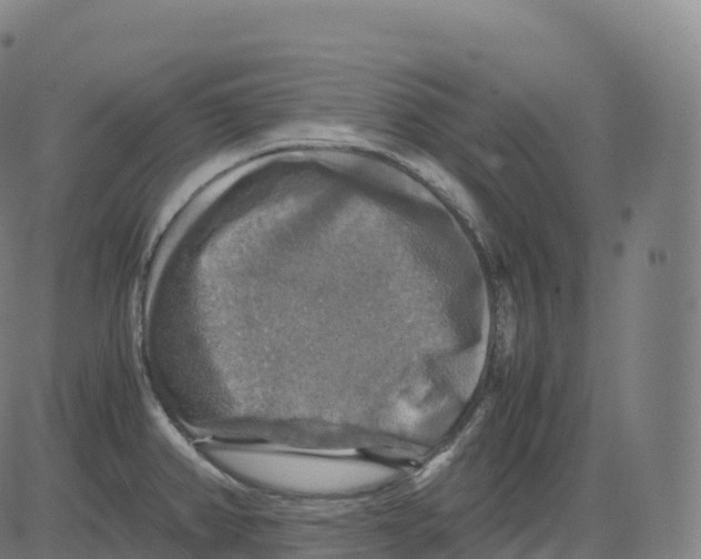 X0000083641382200703121708