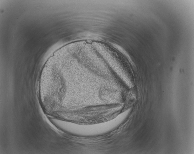 X0000083641383200703121708