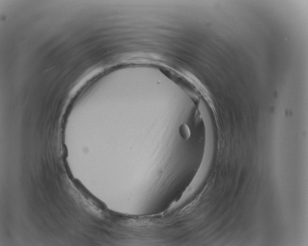 X0000083641384200703121708