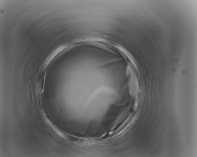 X0000083641385200703121708