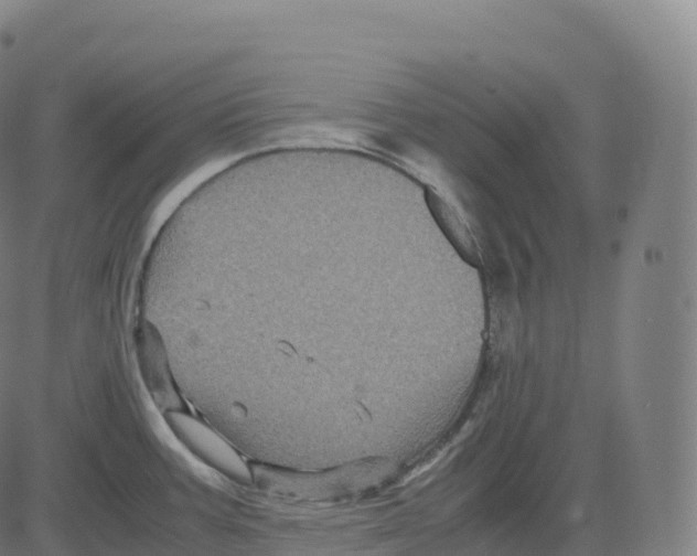 X0000083641387200703121708