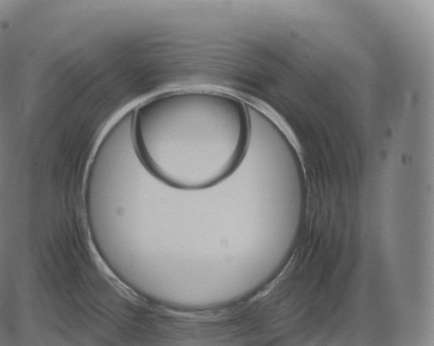 X0000083641388200703121708