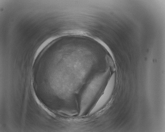 X0000083641389200703121708