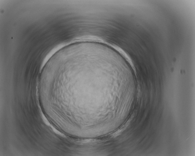 X0000083641390200703121708