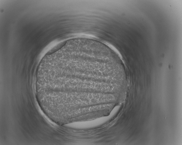 X0000083641391200703121708