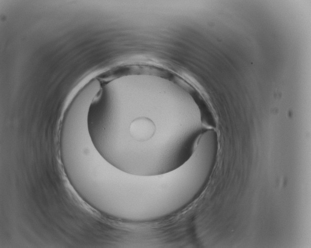 X0000083641392200703121708