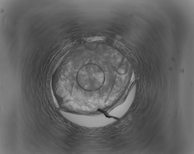 X0000083641393200703121707