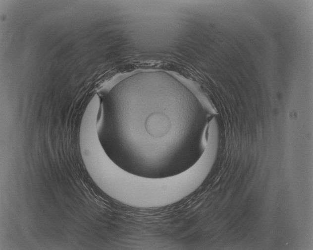 X0000083641394200703121707