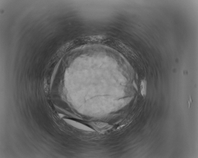 X0000083641395200703121707