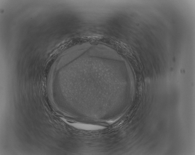 X0000083641397200703121707