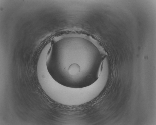 X0000083641398200703121708