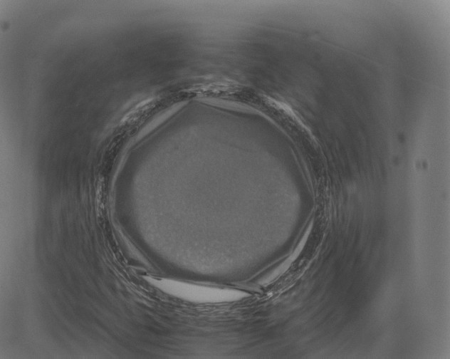 X0000083641399200703121708