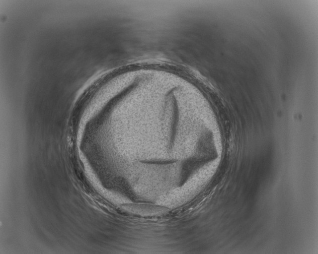 X0000083641400200703121708