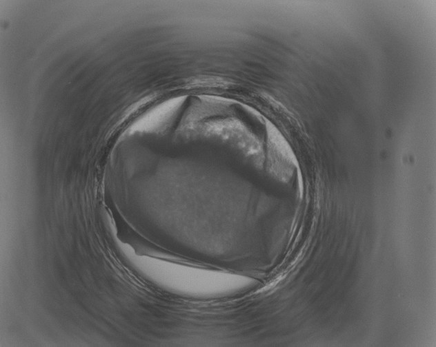 X0000083641401200703121708