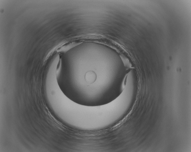 X0000083641402200703121708