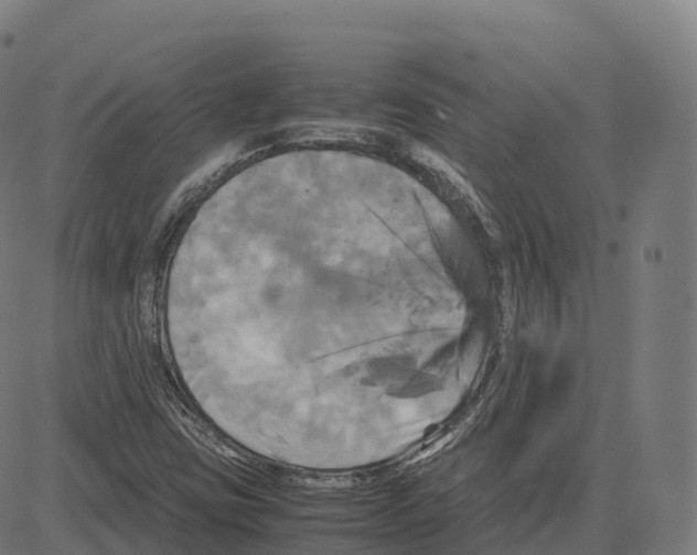 X0000083641403200703121708