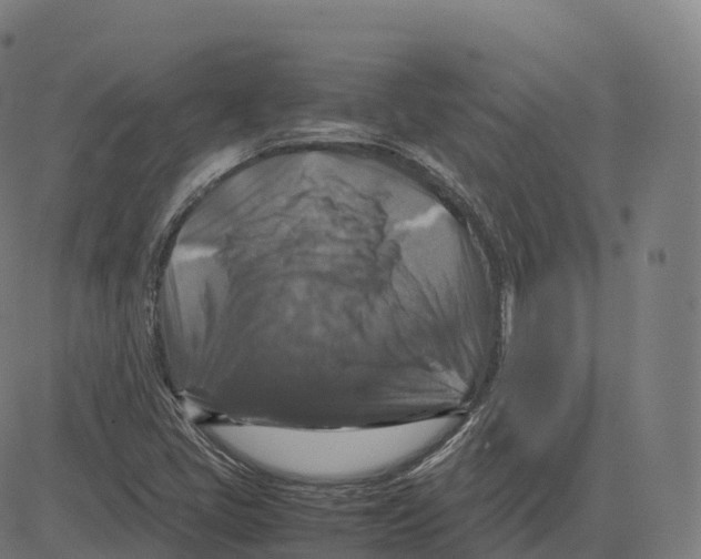 X0000083641405200703121708