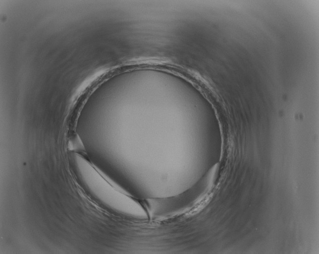 X0000083641406200703121708