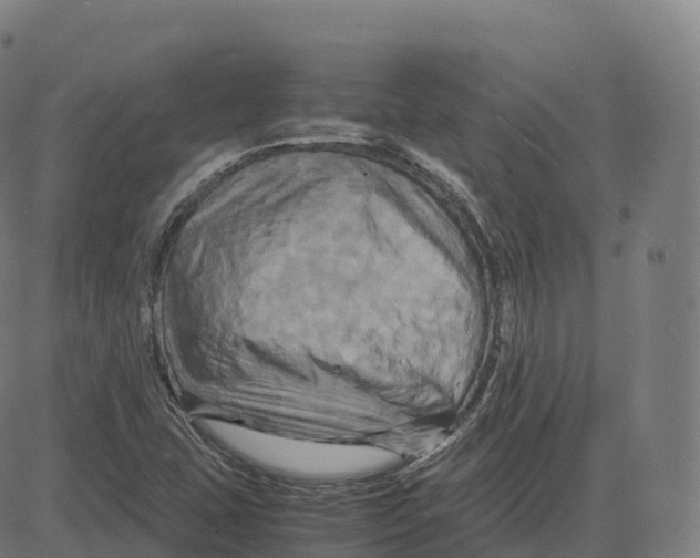 X0000083641407200703121708