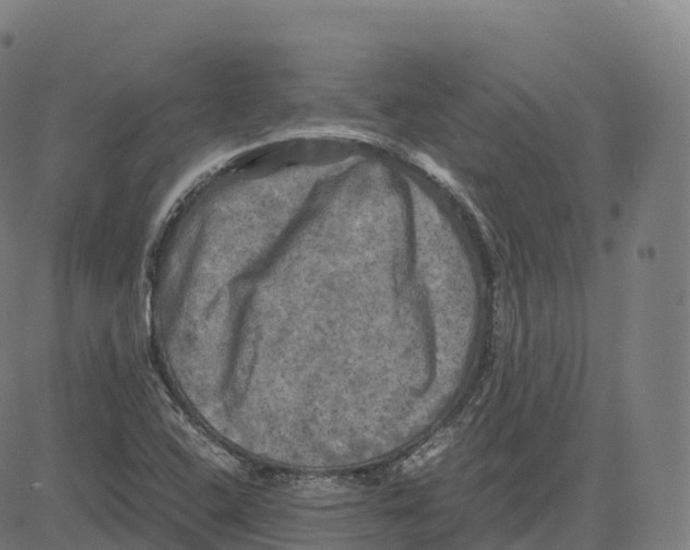 X0000083641408200703121708