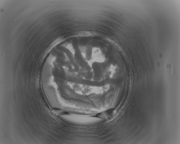 X0000083641409200703121708