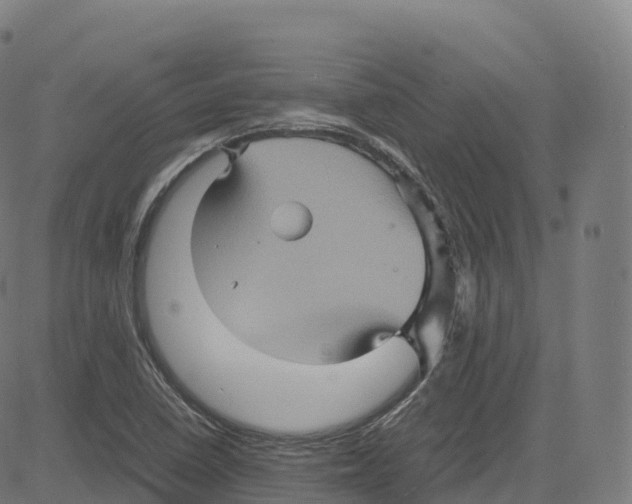 X0000083641410200703121708