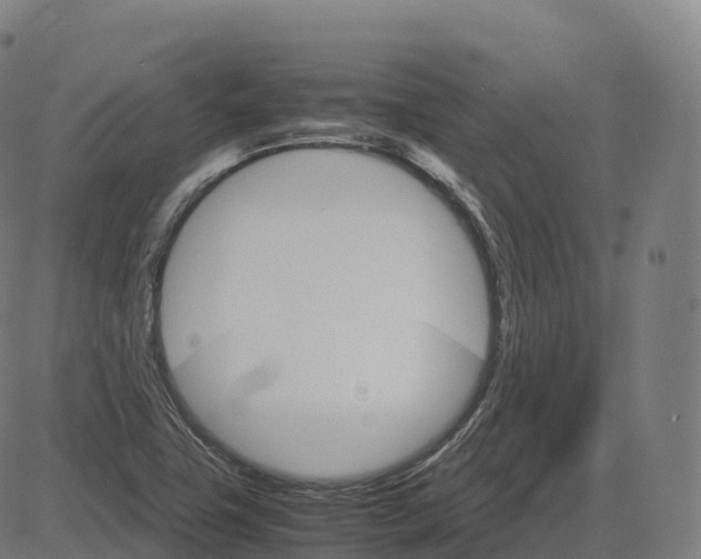 X0000083641411200703121708