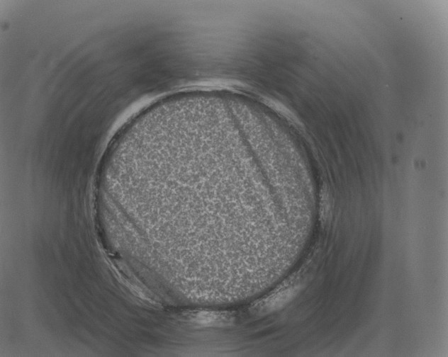 X0000083641412200703121708