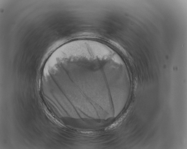 X0000083641413200703121708