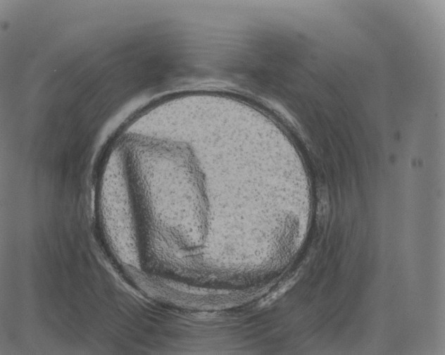 X0000083641414200703121708