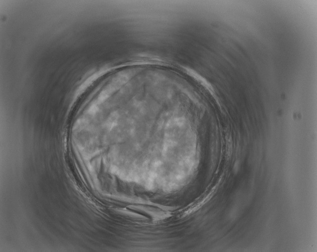 X0000083641415200703121708