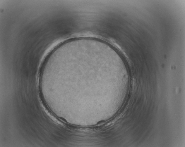 X0000083641416200703121708