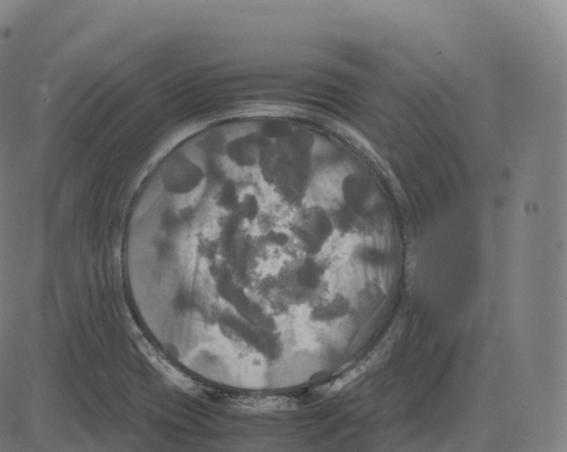 X0000083641417200703121708