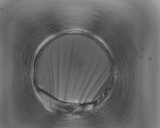 X0000083641418200703121708