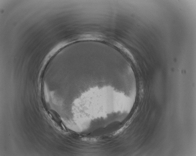 X0000083641419200703121708