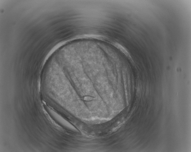 X0000083641420200703121708