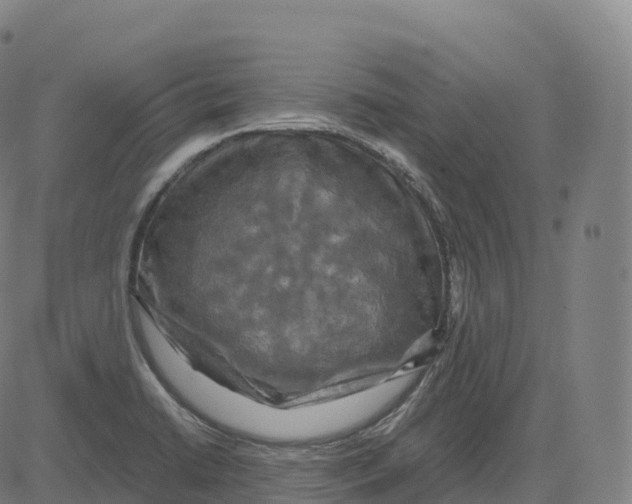 X0000083641422200703121708