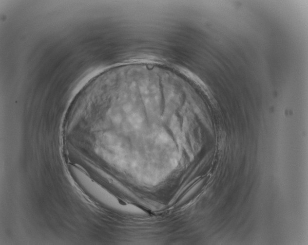 X0000083641423200703121708