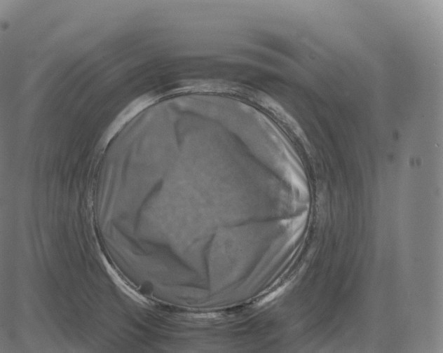 X0000083641425200703121708