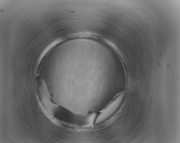 X0000083641426200703121708