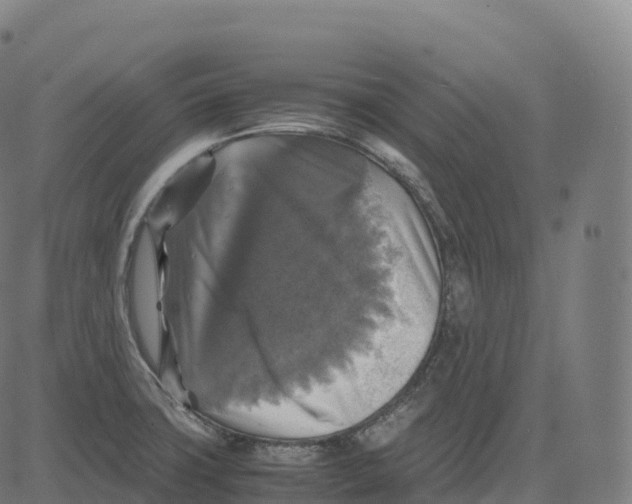 X0000083641427200703121708