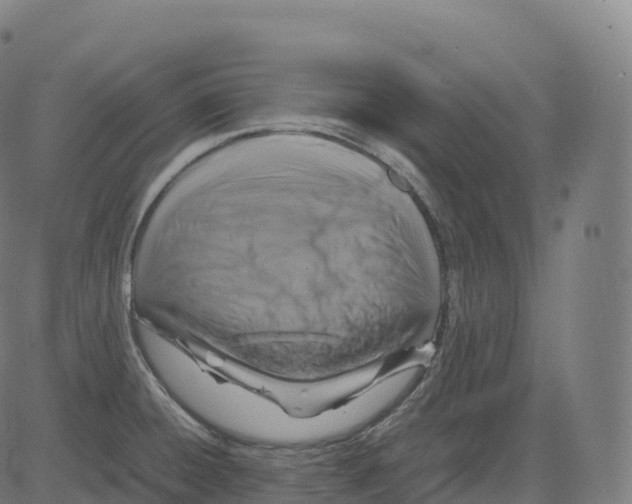 X0000083641428200703121708