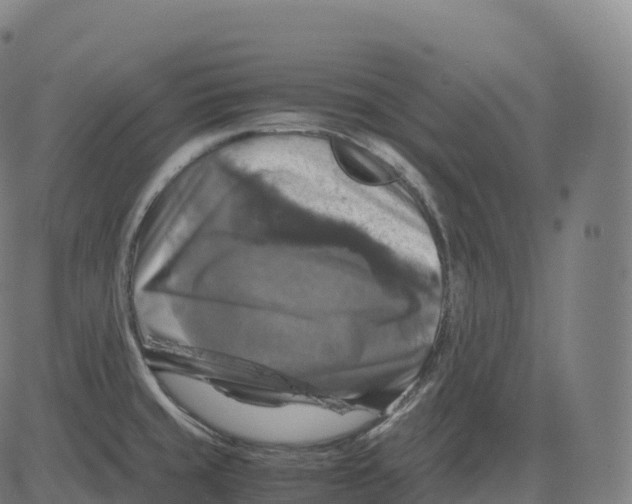 X0000083641429200703121708